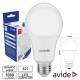 Lampada LED E27 Globo C60 12W 6400K - Avide