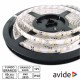 Fita C/ 300 LEDs 2835 12v 4.8W-mt (24w) Branco Frio 5Mt - Avide
