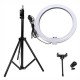 RING LIGHT CANDEEIRO DE ESTÚDIO 10W C/ TRIPÉ EXTENSIVEL