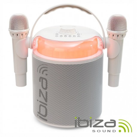 Coluna Portátil C/ 2x Micro S/ Fios 120W BT/AUX/USB/SD/COAX