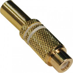 Ficha RCA Fêm. Extensão Dourada 6mm-Branca