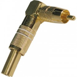 Ficha RCA Macho Dourada Curva-HQ-Branca